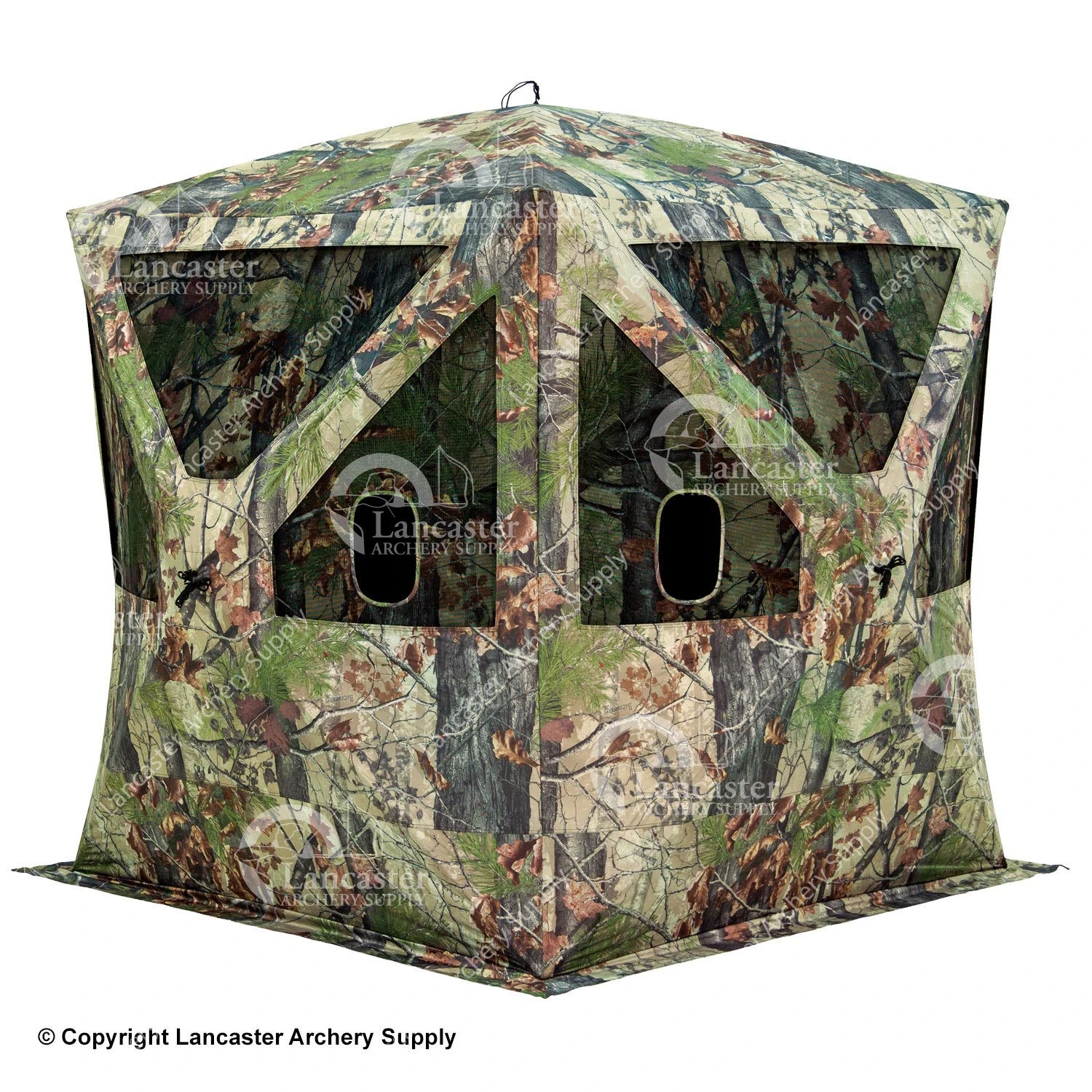 Barronett Big Cat Blind 1 Barronett Big Cat Blind