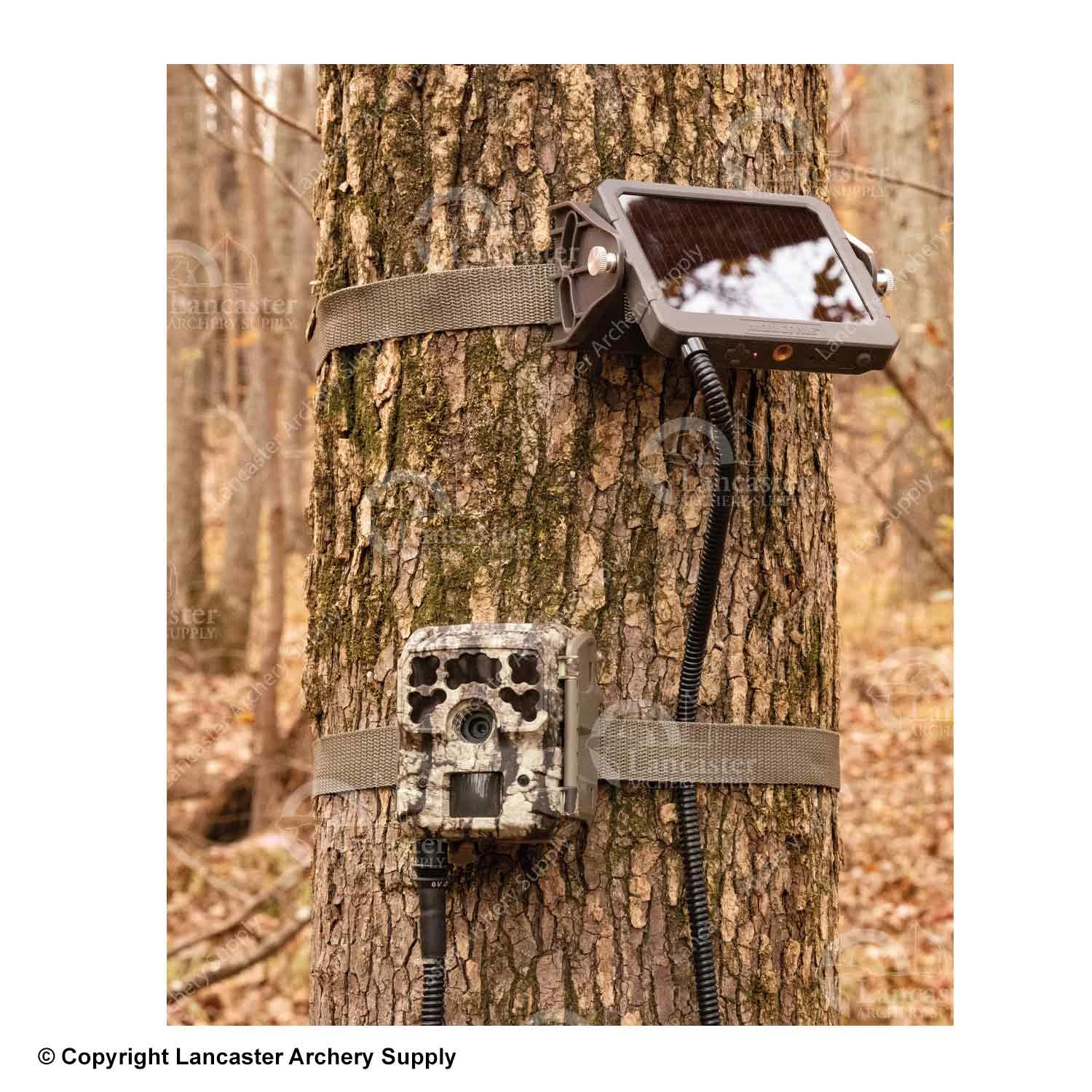 Moultrie 6V Feeder | Micro Camera Solar Power Panel 2 Moultrie 6V Feeder | Micro Camera Solar Power Panel - Image 2