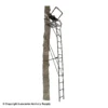 Big Game Big Boss 1.5 Person Ladder Stand (18 Ft.)