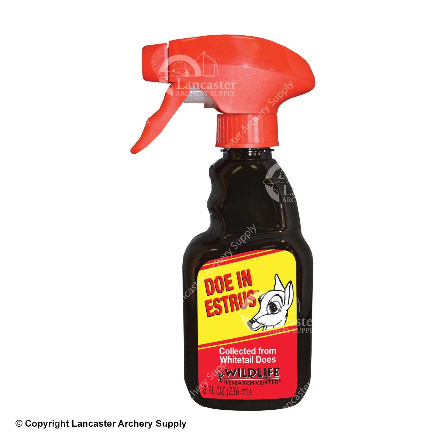 Wildlife Research Center Doe In Estrus 1 Wildlife Research Center Doe In Estrus