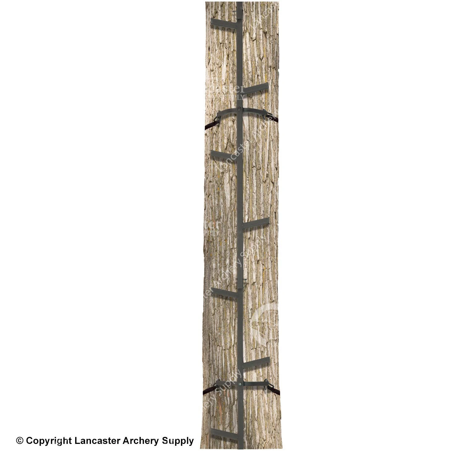 Big Game Quick-Stick Climbing System 1 Big Game Quick-Stick Climbing System