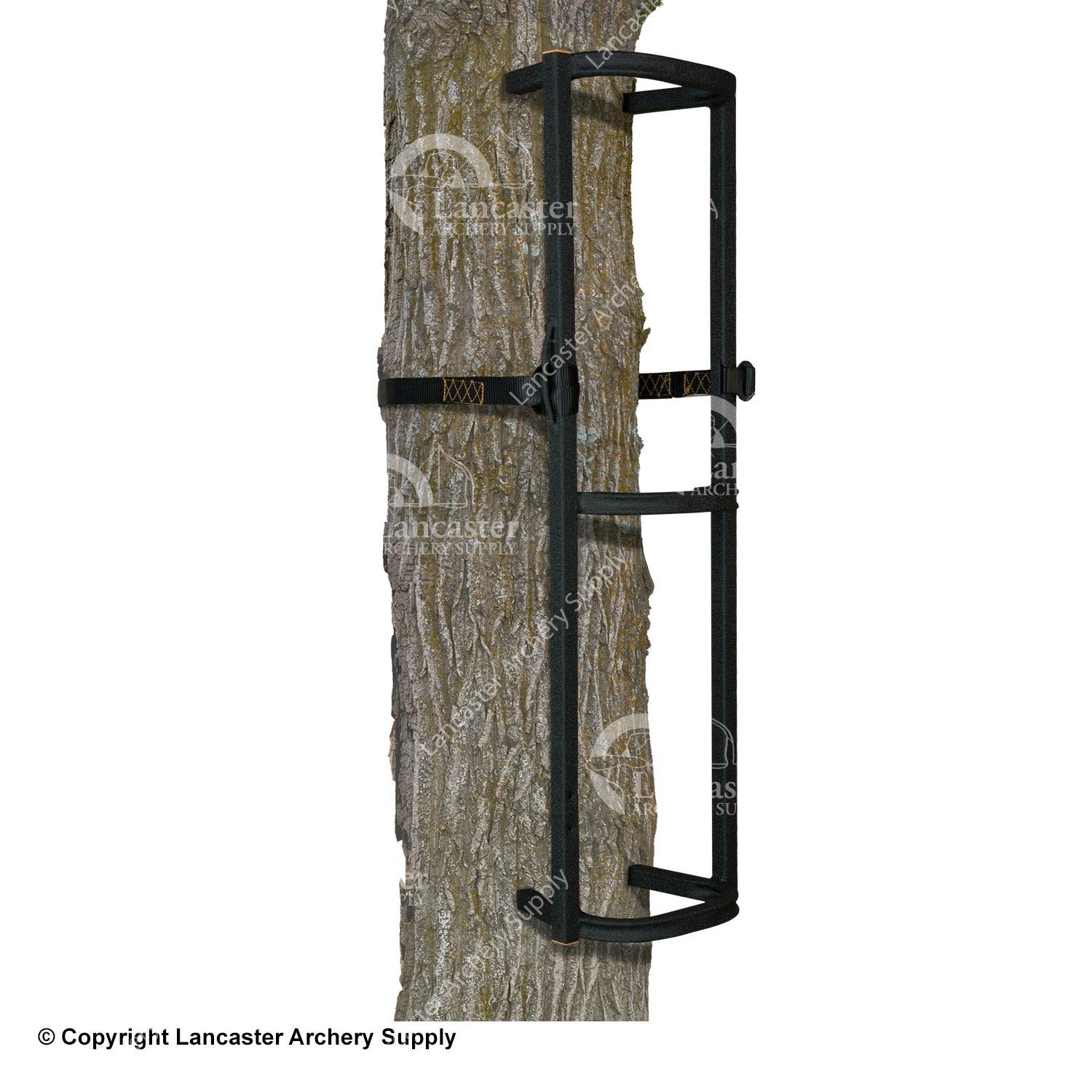 Muddy Stagger-Steps Climbing System (3 Sections) 1 Muddy Stagger-Steps Climbing System (3 Sections)