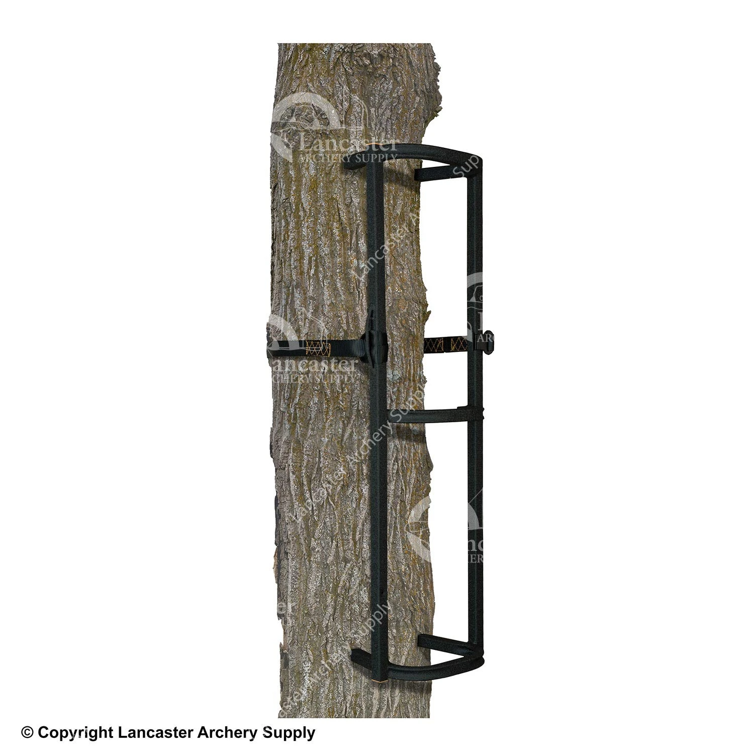 Muddy Stagger-Step Climbing System (1 Section) 1 Muddy Stagger-Step Climbing System (1 Section)